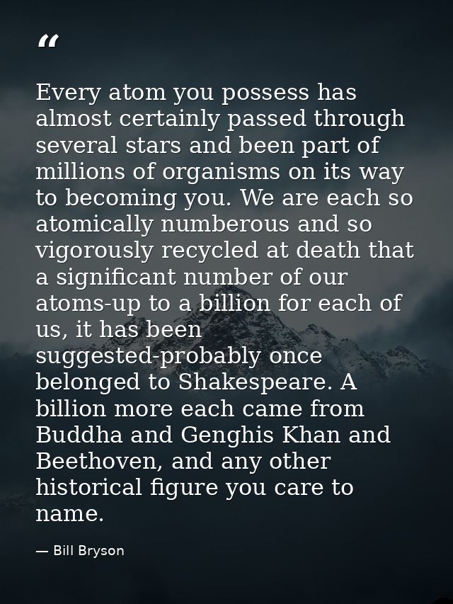 Every atom you possess has almost certainly passed through several stars and been part of millions of organisms on its w — Bill Bryson