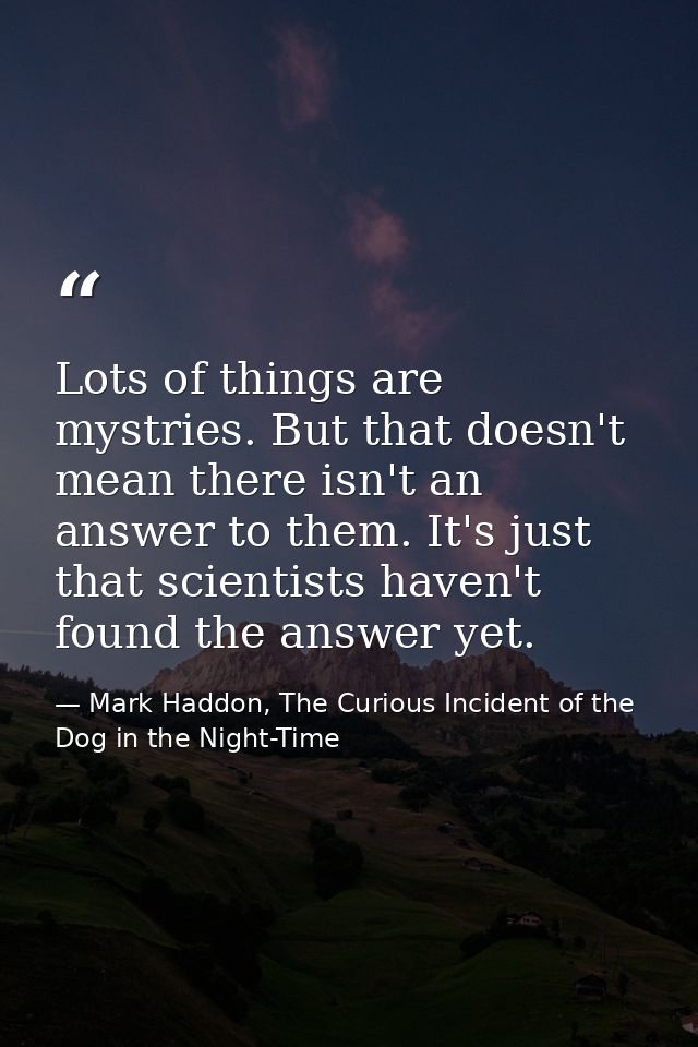 Lots of things are mystries. But that doesn't mean there isn't an answer to them. It's just that scientists haven't foun — Mark Haddon, The Curious Incident of the Dog in the Night-Time