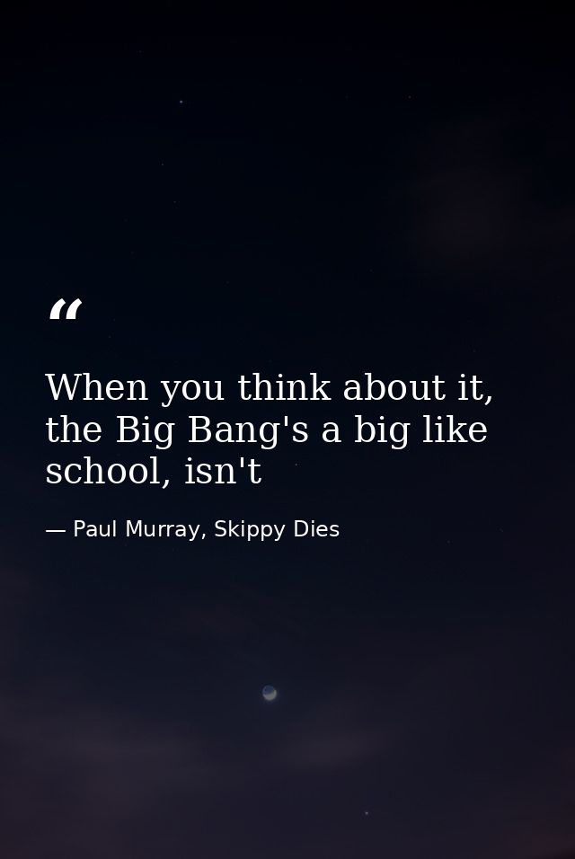 When you think about it, the Big Bang's a big like school, isn't — Paul Murray, Skippy Dies