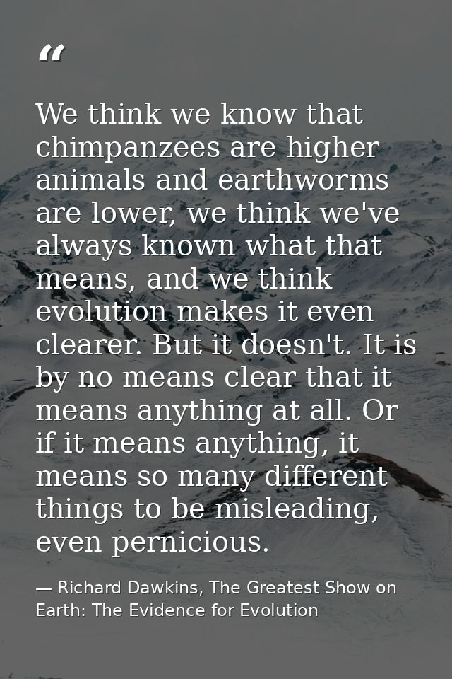 We think we know that chimpanzees are higher animals and earthworms are lower, we think we've always known what that mea — Richard Dawkins, The Greatest Show on Earth: The Evidence for Evolution