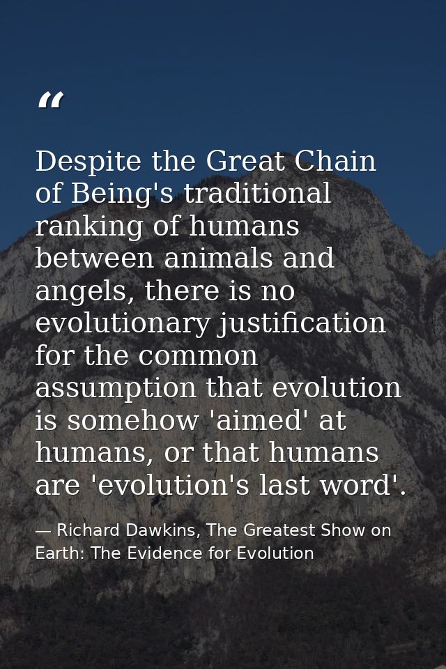Despite the Great Chain of Being's traditional ranking of humans between animals and angels, there is no evolutionary ju — Richard Dawkins, The Greatest Show on Earth: The Evidence for Evolution