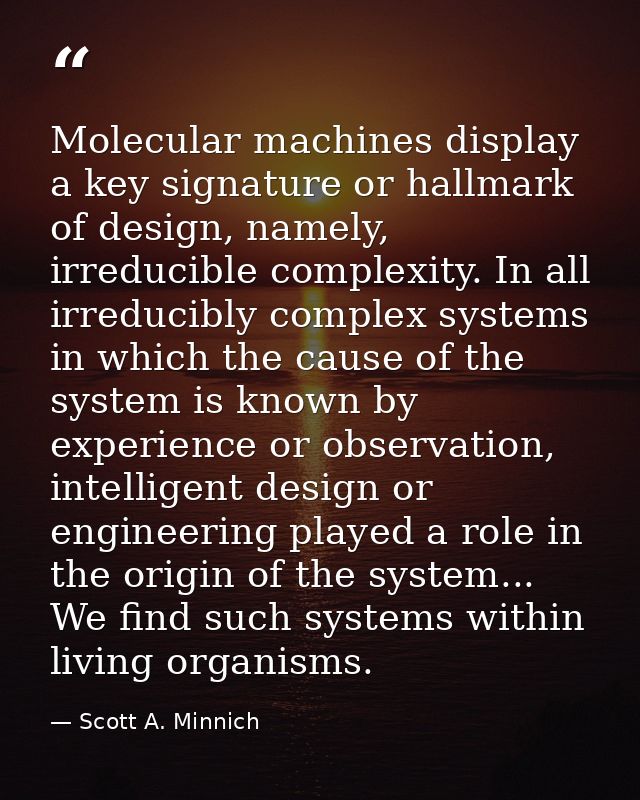 Molecular machines display a key signature or hallmark of design, namely, irreducible complexity. In all irreducibly com — Scott A. Minnich