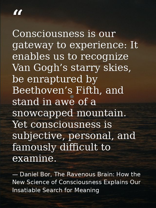 Consciousness is our gateway to experience: It enables us to recognize Van Gogh’s starry skies, be enraptured by Beethov — Daniel Bor, The Ravenous Brain: How the New Science of Consciousness Explains Our Insatiable Search for Meaning