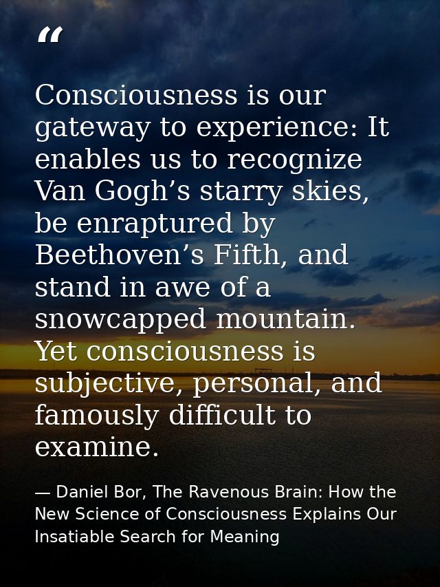 Consciousness is our gateway to experience: It enables us to recognize Van Gogh’s starry skies, be enraptured by Beethov — Daniel Bor, The Ravenous Brain: How the New Science of Consciousness Explains Our Insatiable Search for Meaning