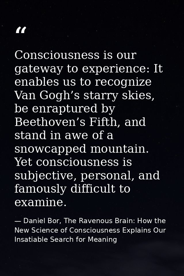 Consciousness is our gateway to experience: It enables us to recognize Van Gogh’s starry skies, be enraptured by Beethov — Daniel Bor, The Ravenous Brain: How the New Science of Consciousness Explains Our Insatiable Search for Meaning