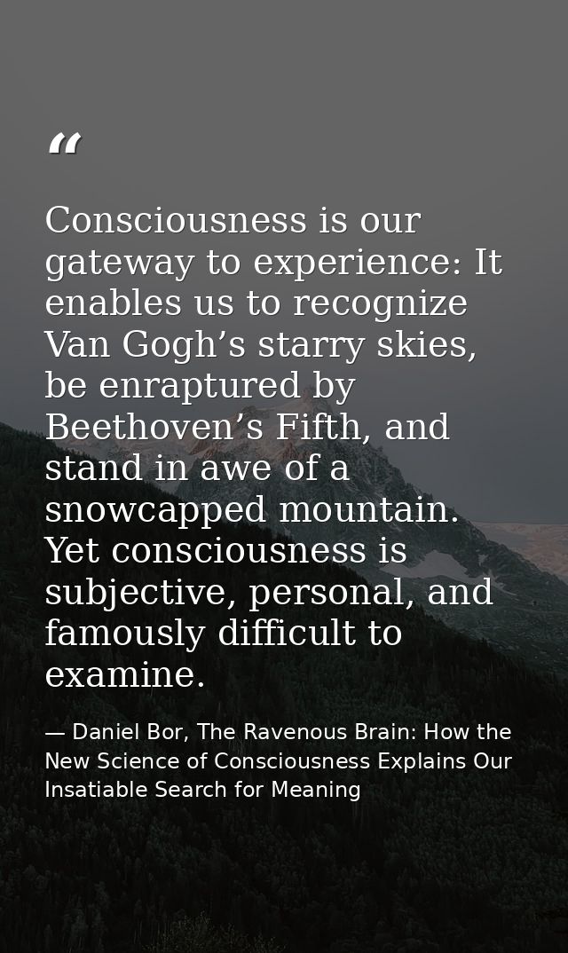 Consciousness is our gateway to experience: It enables us to recognize Van Gogh’s starry skies, be enraptured by Beethov — Daniel Bor, The Ravenous Brain: How the New Science of Consciousness Explains Our Insatiable Search for Meaning