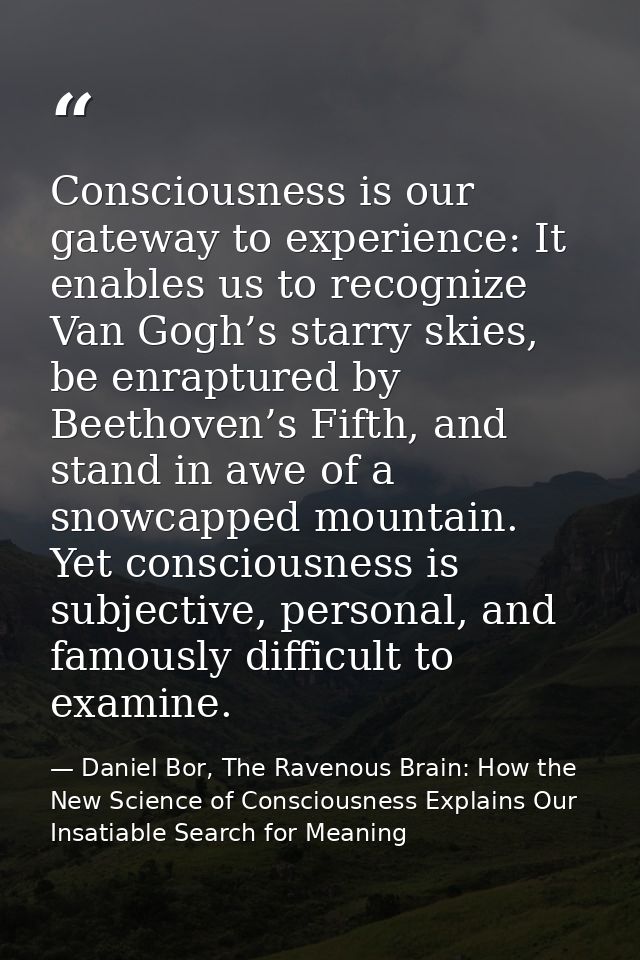 Consciousness is our gateway to experience: It enables us to recognize Van Gogh’s starry skies, be enraptured by Beethov — Daniel Bor, The Ravenous Brain: How the New Science of Consciousness Explains Our Insatiable Search for Meaning