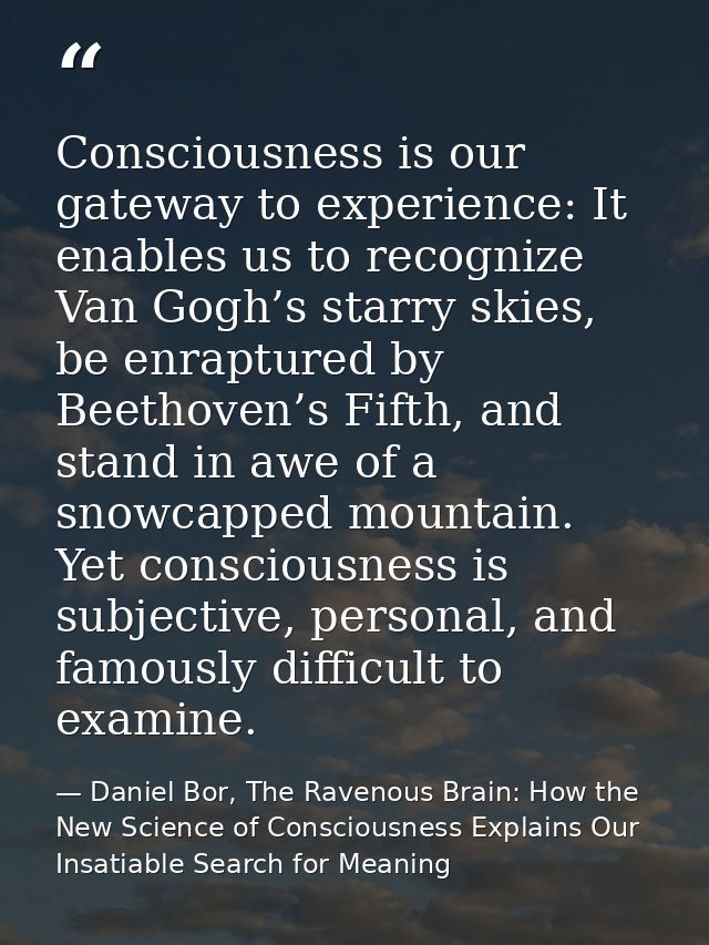 Consciousness is our gateway to experience: It enables us to recognize Van Gogh’s starry skies, be enraptured by Beethov — Daniel Bor, The Ravenous Brain: How the New Science of Consciousness Explains Our Insatiable Search for Meaning