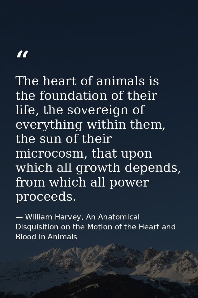 The heart of animals is the foundation of their life, the sovereign of everything within them, the sun of their microcos — William Harvey, An Anatomical Disquisition on the Motion of the Heart and Blood in Animals