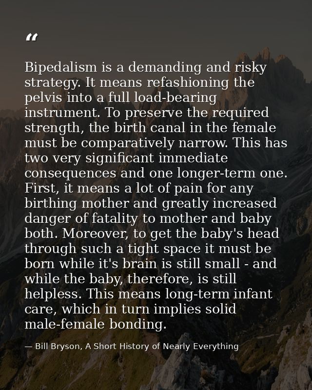 Bipedalism is a demanding and risky strategy. It means refashioning the pelvis into a full load-bearing instrument. To p — Bill Bryson, A Short History of Nearly Everything