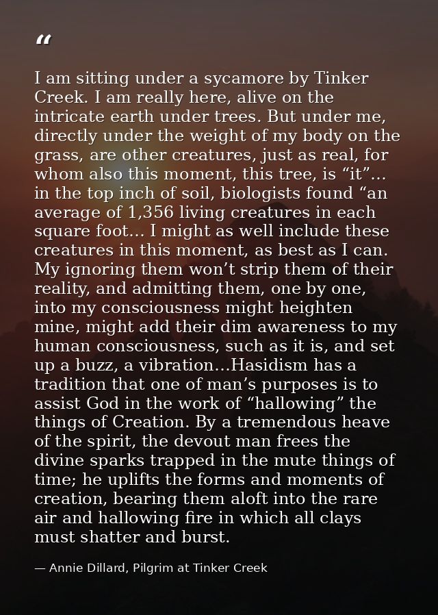 I am sitting under a sycamore by Tinker Creek. I am really here, alive on the intricate earth under trees. But under me, — Annie Dillard, Pilgrim at Tinker Creek