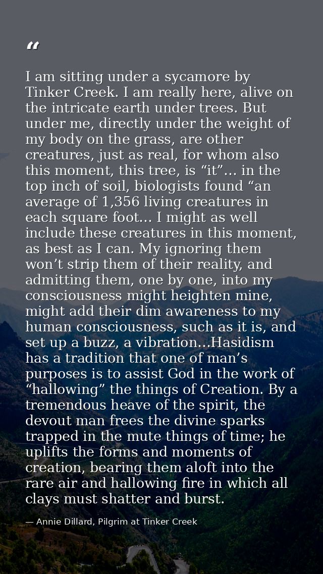 I am sitting under a sycamore by Tinker Creek. I am really here, alive on the intricate earth under trees. But under me, — Annie Dillard, Pilgrim at Tinker Creek