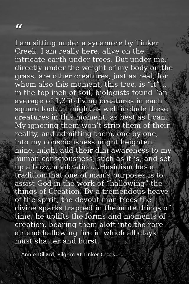 I am sitting under a sycamore by Tinker Creek. I am really here, alive on the intricate earth under trees. But under me, — Annie Dillard, Pilgrim at Tinker Creek