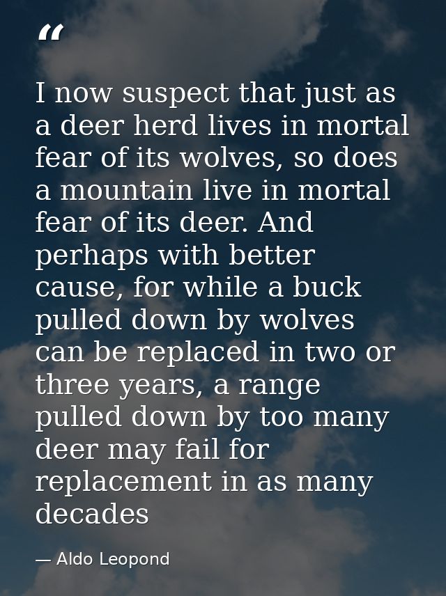 I now suspect that just as a deer herd lives in mortal fear of its wolves, so does a mountain live in mortal fear of its — Aldo Leopond