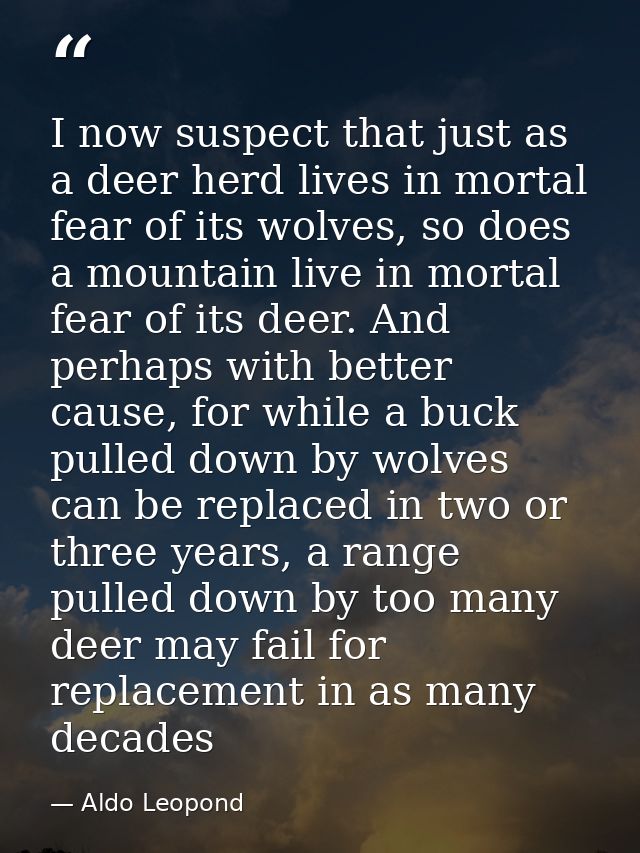 I now suspect that just as a deer herd lives in mortal fear of its wolves, so does a mountain live in mortal fear of its — Aldo Leopond
