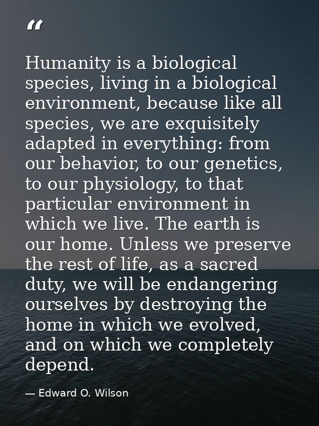 Humanity is a biological species, living in a biological environment, because like all species, we are exquisitely adapt — Edward O. Wilson