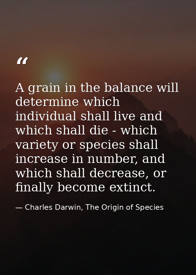 A grain in the balance will determine which individual shall live and which shall die - which variety or species shall i — Charles Darwin, The Origin of Species