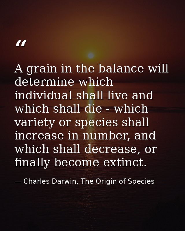 A grain in the balance will determine which individual shall live and which shall die - which variety or species shall i — Charles Darwin, The Origin of Species