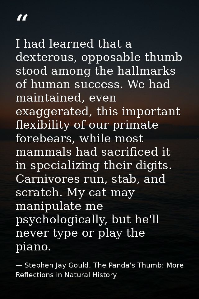 I had learned that a dexterous, opposable thumb stood among the hallmarks of human success. We had maintained, even exag — Stephen Jay Gould, The Panda's Thumb: More Reflections in Natural History