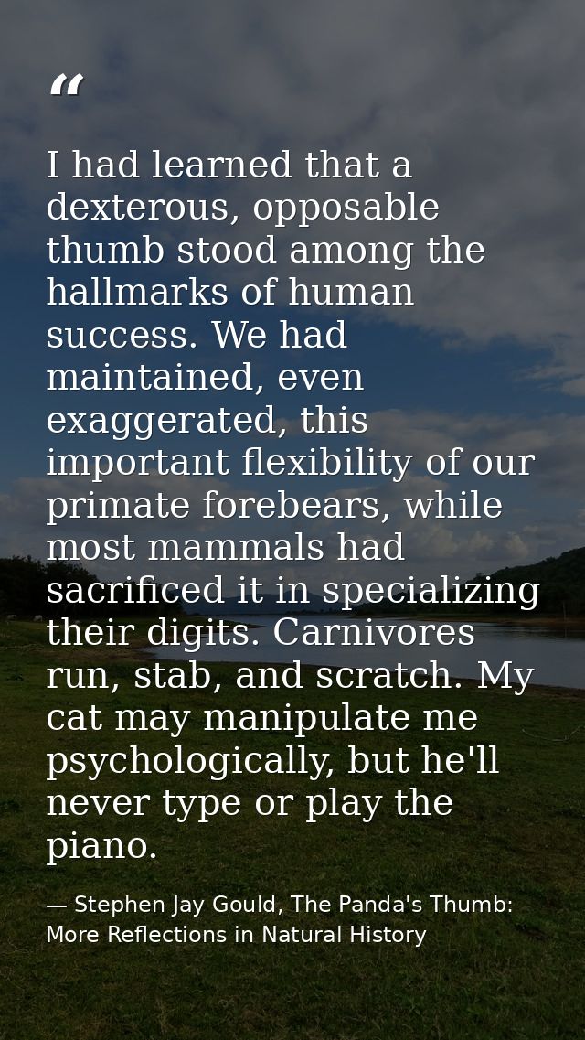 I had learned that a dexterous, opposable thumb stood among the hallmarks of human success. We had maintained, even exag — Stephen Jay Gould, The Panda's Thumb: More Reflections in Natural History