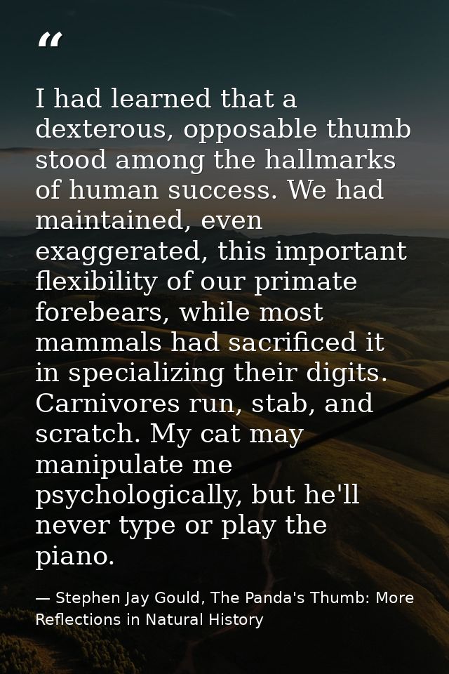 I had learned that a dexterous, opposable thumb stood among the hallmarks of human success. We had maintained, even exag — Stephen Jay Gould, The Panda's Thumb: More Reflections in Natural History