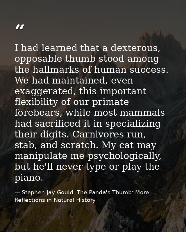 I had learned that a dexterous, opposable thumb stood among the hallmarks of human success. We had maintained, even exag — Stephen Jay Gould, The Panda's Thumb: More Reflections in Natural History