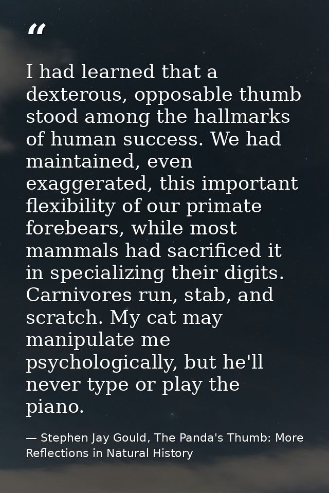 I had learned that a dexterous, opposable thumb stood among the hallmarks of human success. We had maintained, even exag — Stephen Jay Gould, The Panda's Thumb: More Reflections in Natural History