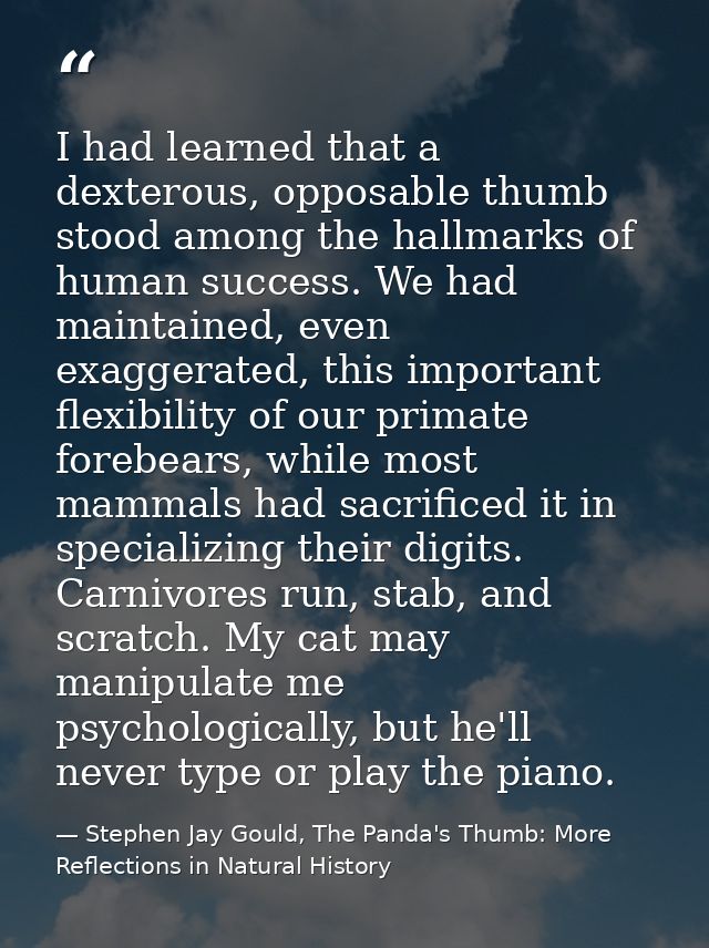 I had learned that a dexterous, opposable thumb stood among the hallmarks of human success. We had maintained, even exag — Stephen Jay Gould, The Panda's Thumb: More Reflections in Natural History