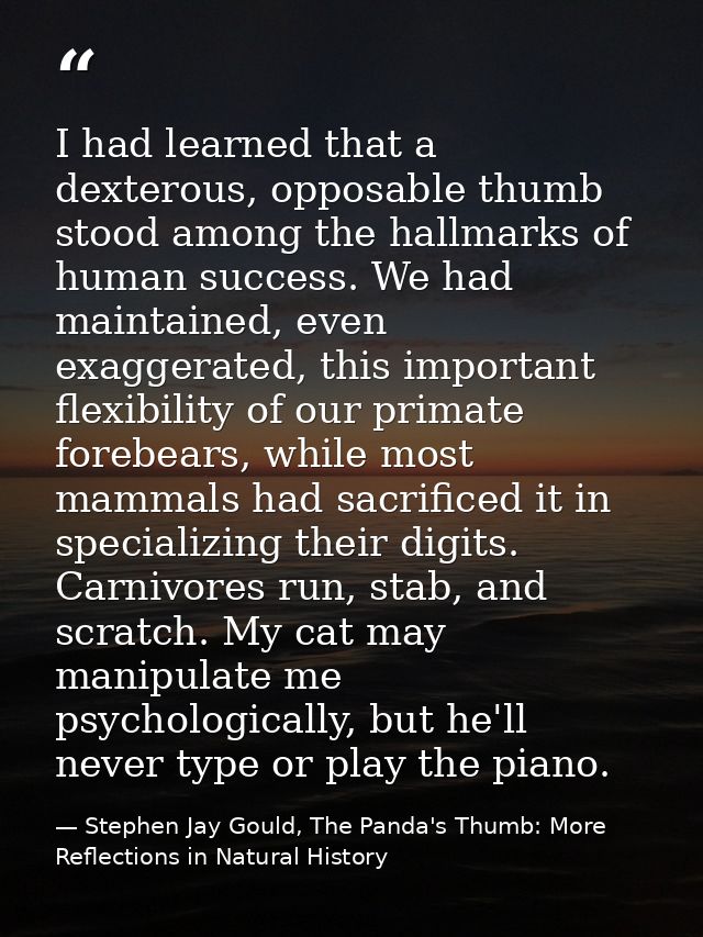 I had learned that a dexterous, opposable thumb stood among the hallmarks of human success. We had maintained, even exag — Stephen Jay Gould, The Panda's Thumb: More Reflections in Natural History