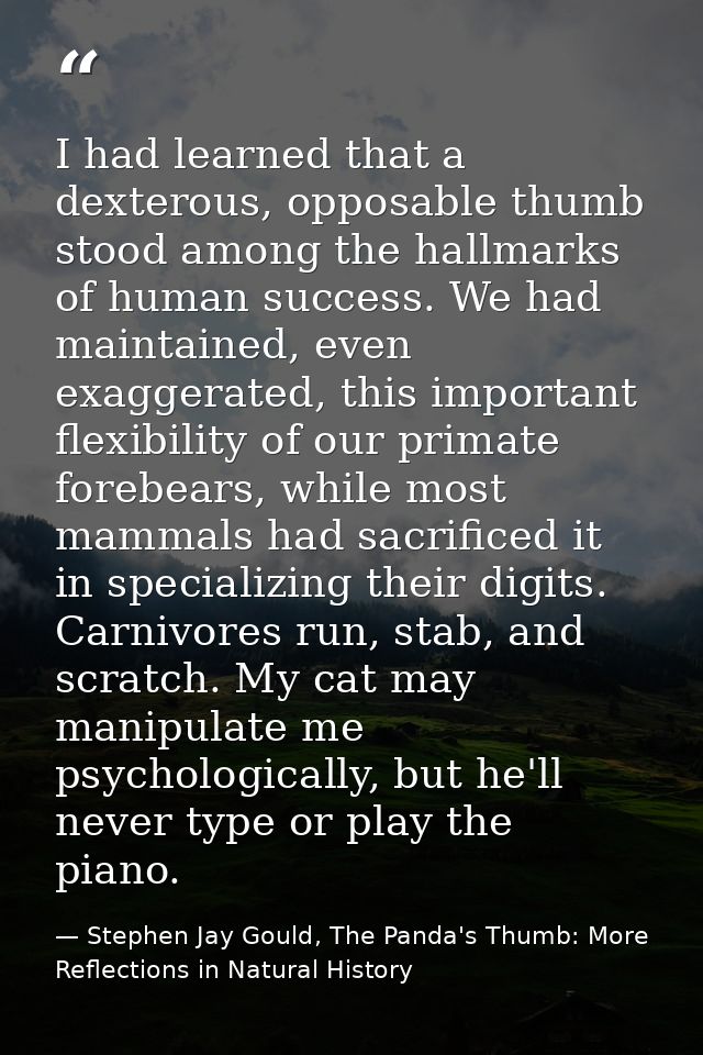 I had learned that a dexterous, opposable thumb stood among the hallmarks of human success. We had maintained, even exag — Stephen Jay Gould, The Panda's Thumb: More Reflections in Natural History