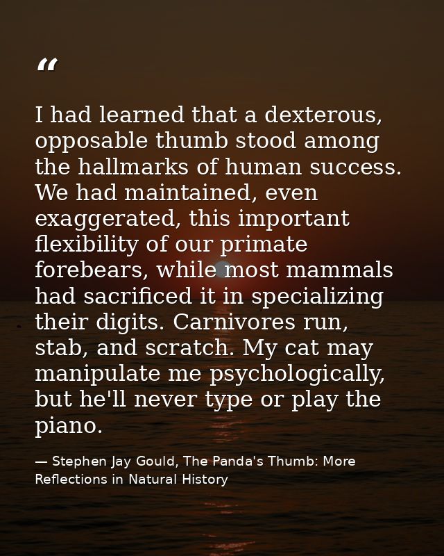 I had learned that a dexterous, opposable thumb stood among the hallmarks of human success. We had maintained, even exag — Stephen Jay Gould, The Panda's Thumb: More Reflections in Natural History