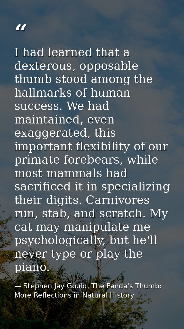 I had learned that a dexterous, opposable thumb stood among the hallmarks of human success. We had maintained, even exag — Stephen Jay Gould, The Panda's Thumb: More Reflections in Natural History