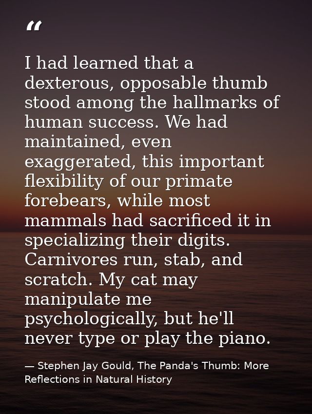 I had learned that a dexterous, opposable thumb stood among the hallmarks of human success. We had maintained, even exag — Stephen Jay Gould, The Panda's Thumb: More Reflections in Natural History