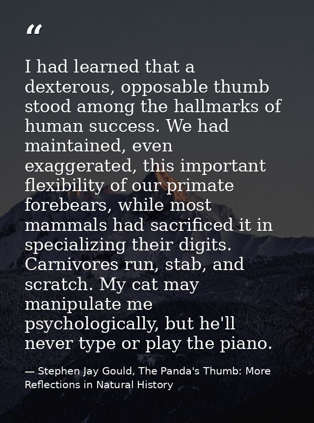 I had learned that a dexterous, opposable thumb stood among the hallmarks of human success. We had maintained, even exag — Stephen Jay Gould, The Panda's Thumb: More Reflections in Natural History