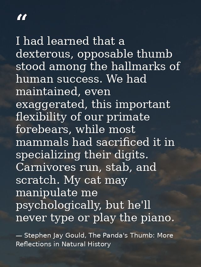 I had learned that a dexterous, opposable thumb stood among the hallmarks of human success. We had maintained, even exag — Stephen Jay Gould, The Panda's Thumb: More Reflections in Natural History