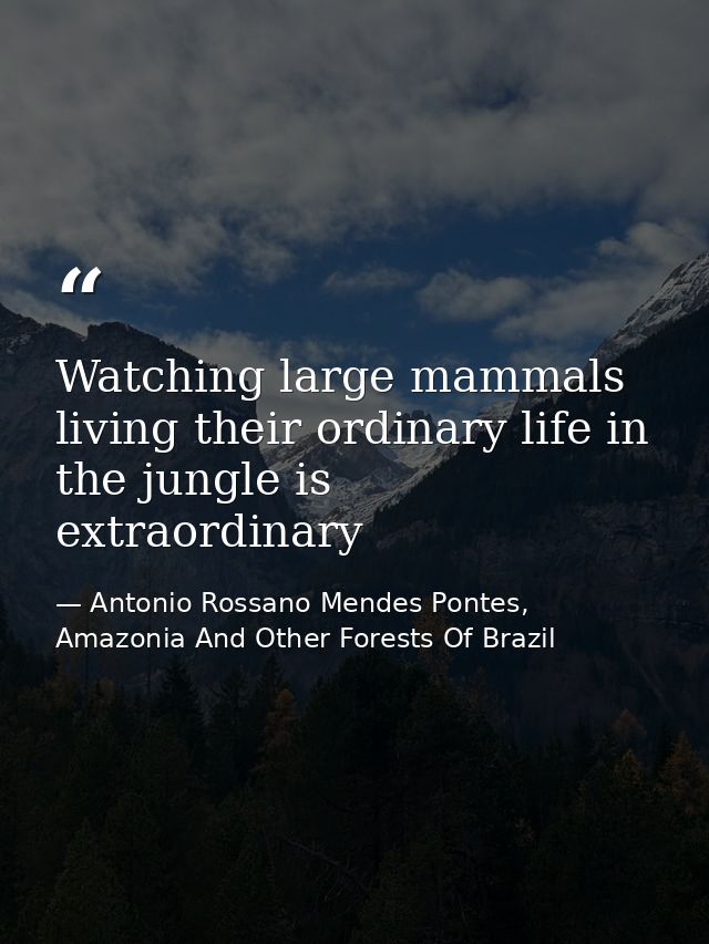 Watching large mammals living their ordinary life in the jungle is extraordinary — Antonio Rossano Mendes Pontes, Amazonia And Other Forests Of Brazil