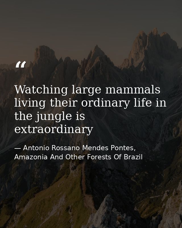 Watching large mammals living their ordinary life in the jungle is extraordinary — Antonio Rossano Mendes Pontes, Amazonia And Other Forests Of Brazil