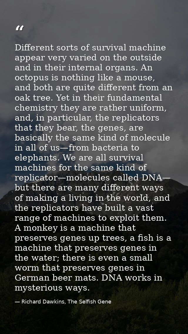 Different sorts of survival machine appear very varied on the outside and in their internal organs. An octopus is nothin — Richard Dawkins, The Selfish Gene