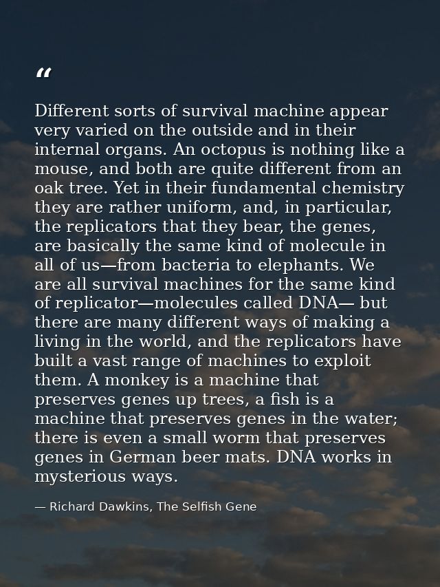 Different sorts of survival machine appear very varied on the outside and in their internal organs. An octopus is nothin — Richard Dawkins, The Selfish Gene