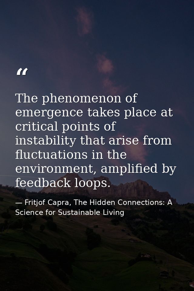 The phenomenon of emergence takes place at critical points of instability that arise from fluctuations in the environmen — Fritjof Capra, The Hidden Connections: A Science for Sustainable Living
