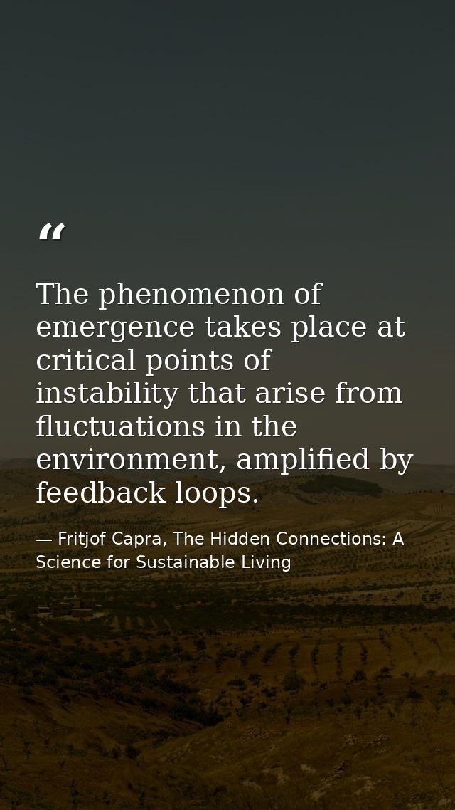 The phenomenon of emergence takes place at critical points of instability that arise from fluctuations in the environmen — Fritjof Capra, The Hidden Connections: A Science for Sustainable Living