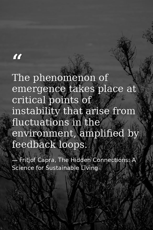 The phenomenon of emergence takes place at critical points of instability that arise from fluctuations in the environmen — Fritjof Capra, The Hidden Connections: A Science for Sustainable Living