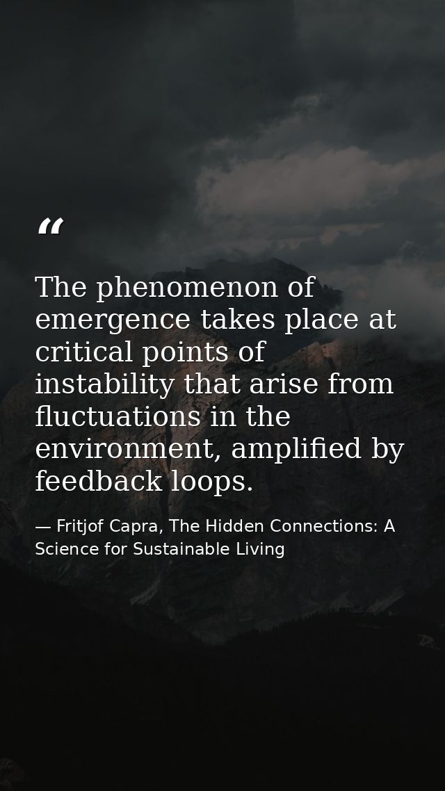 The phenomenon of emergence takes place at critical points of instability that arise from fluctuations in the environmen — Fritjof Capra, The Hidden Connections: A Science for Sustainable Living