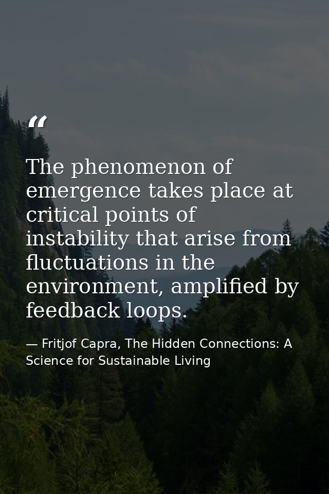 The phenomenon of emergence takes place at critical points of instability that arise from fluctuations in the environmen — Fritjof Capra, The Hidden Connections: A Science for Sustainable Living