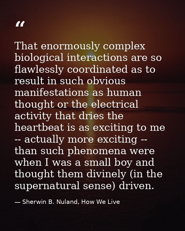 That enormously complex biological interactions are so flawlessly coordinated as to result in such obvious manifestation — Sherwin B. Nuland, How We Live