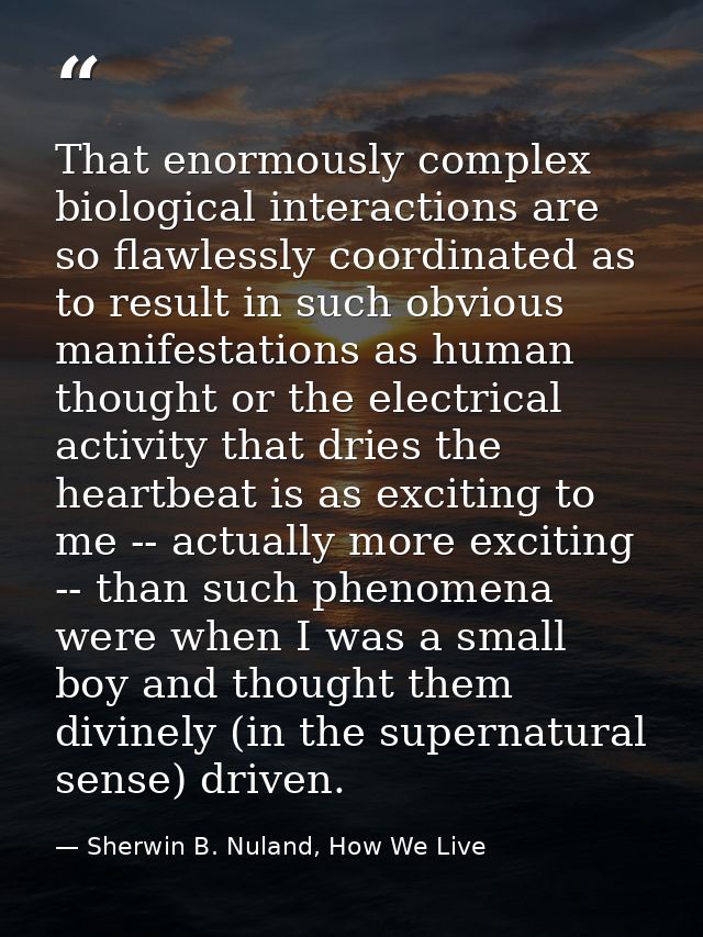 That enormously complex biological interactions are so flawlessly coordinated as to result in such obvious manifestation — Sherwin B. Nuland, How We Live