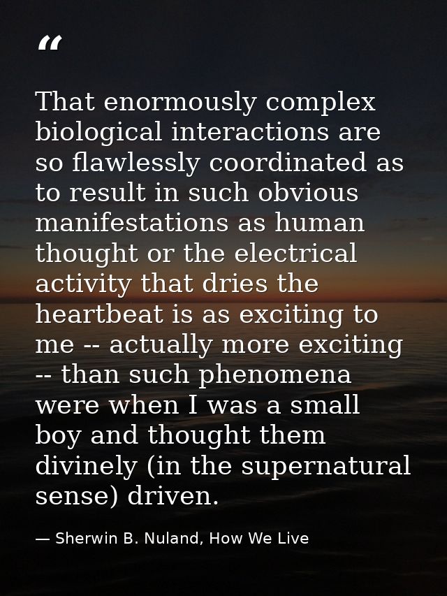 That enormously complex biological interactions are so flawlessly coordinated as to result in such obvious manifestation — Sherwin B. Nuland, How We Live