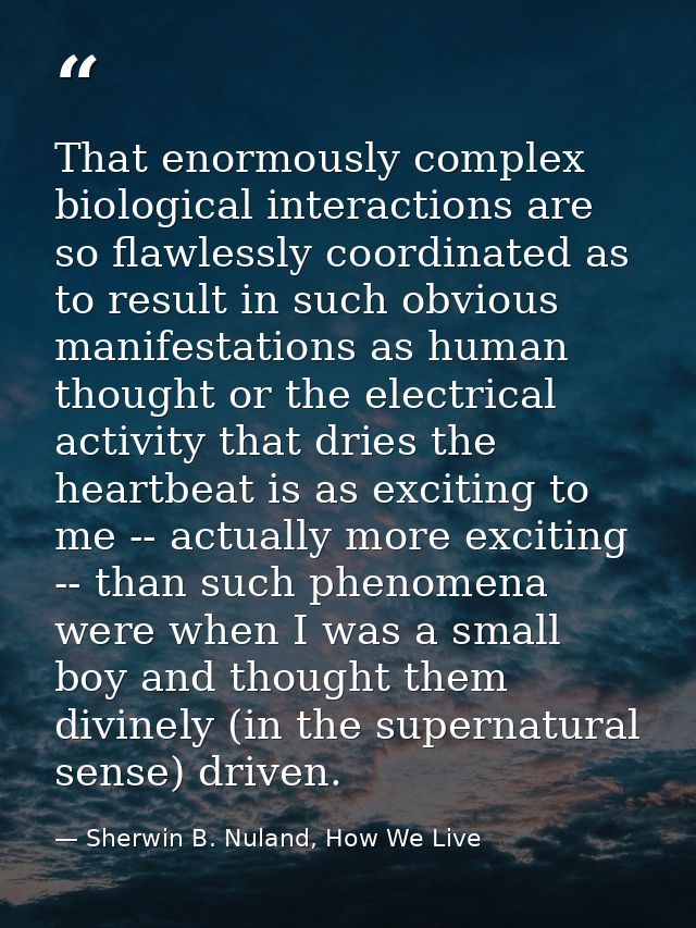 That enormously complex biological interactions are so flawlessly coordinated as to result in such obvious manifestation — Sherwin B. Nuland, How We Live