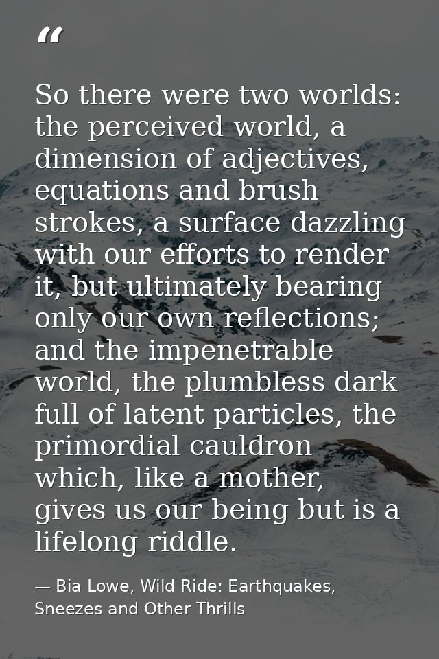 So there were two worlds: the perceived world, a dimension of adjectives, equations and brush strokes, a surface dazzlin — Bia Lowe, Wild Ride: Earthquakes, Sneezes and Other Thrills