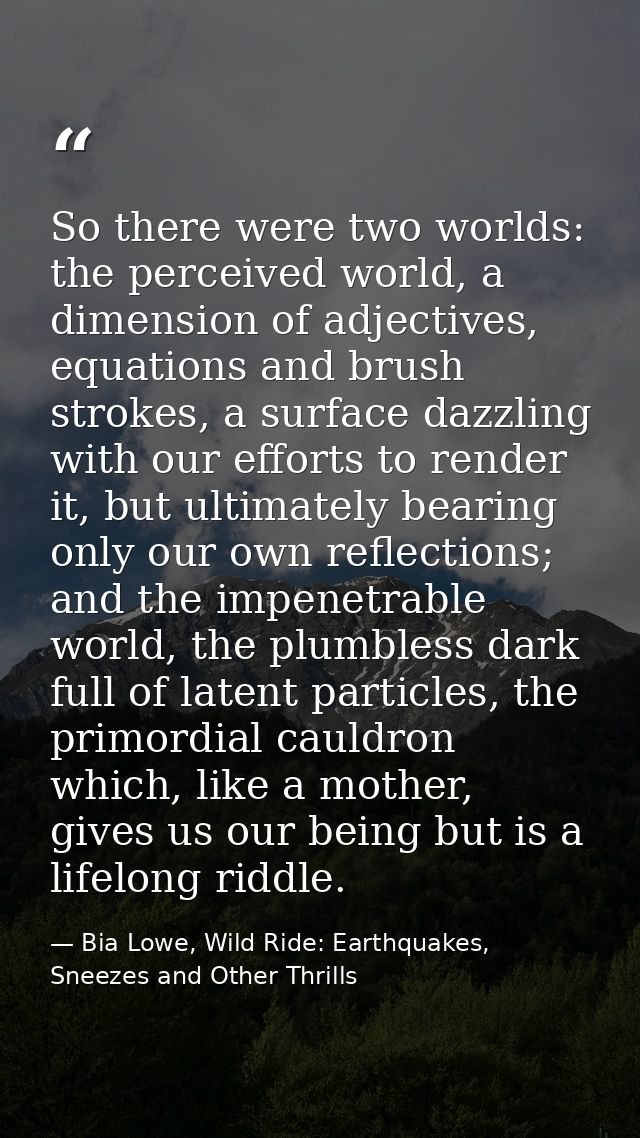 So there were two worlds: the perceived world, a dimension of adjectives, equations and brush strokes, a surface dazzlin — Bia Lowe, Wild Ride: Earthquakes, Sneezes and Other Thrills